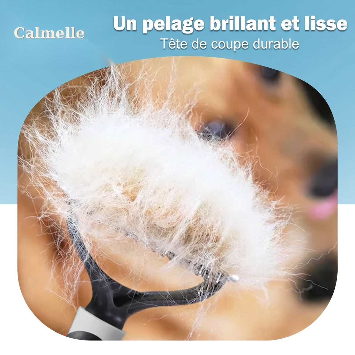 Peigne Épilateur Chien & Chat - Anti-Poils 4 Modes